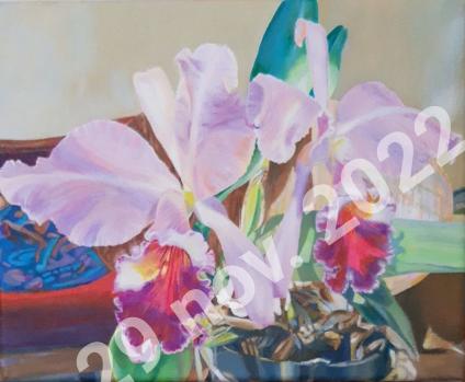 Afbeelding wordt geladen